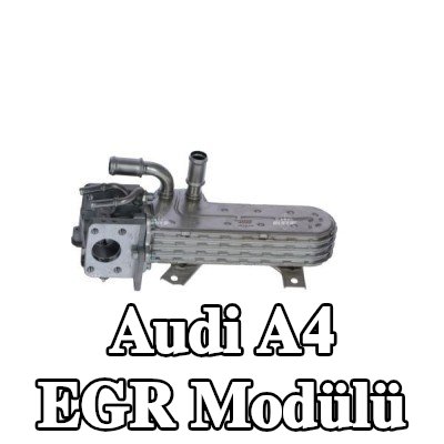 NRF EGR Modülü — 2001 Audi A4