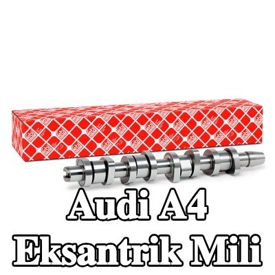 FEBI BILSTEIN Eksantrik Mili — 2002 Audi A4