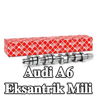 FEBI BILSTEIN Eksantrik Mili — 2002 Audi A6