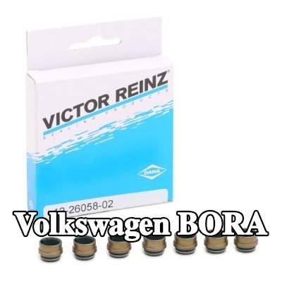 REINZ مجموعة سدادات صمامات الصمامات — Volkswagen Bora