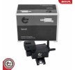 ESEN SKV EGR kontrol valfi — Lexus Is (1)