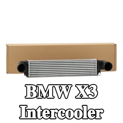 RIDEX Alüminyum Aralı soğutucu, hızlı bağlantı elemanlı — 2004 BMW X3