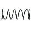 SACHS Helezon yay — 2000 Ford Fiesta (1)
