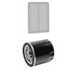 RIDEX PLUS Filtre kiti — Nissan Rogue (3)
