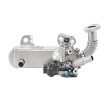 VALEO EGR soğutuculu EGR Modülü, contasız/sızdırmazlık elemanları olmadan, vakum baypaslı, EGR valfi olmadan, kelepçe olmadan, ORIGINAL PART — Nissan Cabstar E (2)