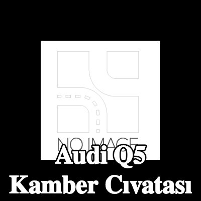 FEBI BILSTEIN Alt kamber cıvatası, Arka, Arka Aks Sol, Arka Aks Sağ — Audi Q5