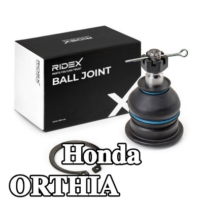 RIDEX وصلة كروية للمحور الأمامي - كلا الجانبين, علوي, كلا الجانبين, 12, 6, 12, 65mm, مع صمولة — Honda Orthia