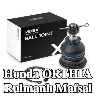 RIDEX Rulman Eklemi Ön aks her iki taraf, Üst, her iki taraf, 12, 6, 12, 65mm, somunlu — Honda Orthia