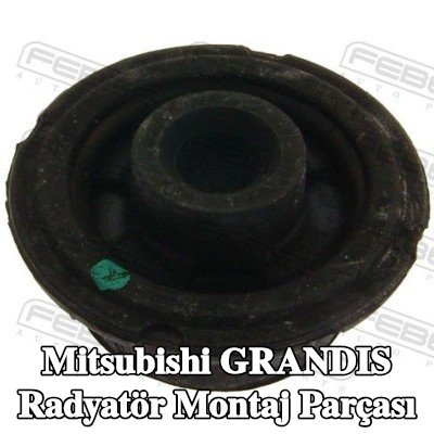 FEBEST Radyatör yuvası Alt — 2002 Mitsubishi Grandis