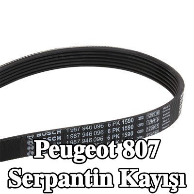 BOSCH Serpantin kayışı 1590mm, Number of ribs: 6 — Peugeot 807