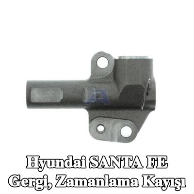 AISIN Gergi, zamanlama kayışı — 2002 Hyundai Santa Fe