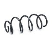 SACHS Helezon yay — SEAT Toledo (2)