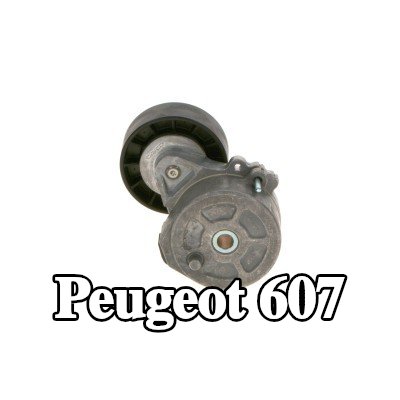 BOSCH مشده حزام المحرك — 2002 Peugeot 607