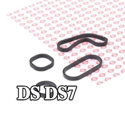 ELRING مجموعة حشيات، مبرد الزيت — DS Ds7