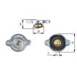 GATES Radyatör kapağı — Nissan Quest (4)