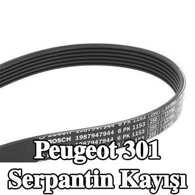 BOSCH Serpantin kayışı 1153mm, Number of ribs: 6 — Peugeot 301