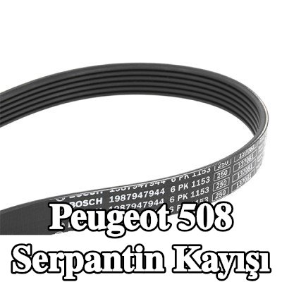 BOSCH Serpantin kayışı 1153mm, Number of ribs: 6 — Peugeot 508