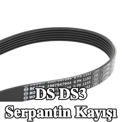 BOSCH Serpantin kayışı 1153mm, Number of ribs: 6 — DS Ds3