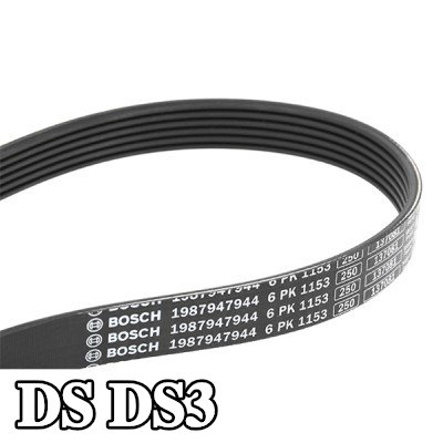 BOSCH حزام سيربنتين 1153mm, Number of ribs: 6 — DS Ds3