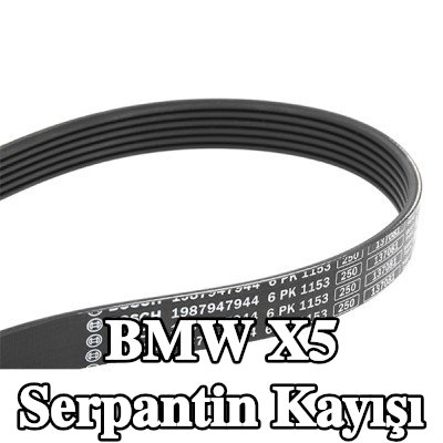 BOSCH Serpantin kayışı 1153mm, Number of ribs: 6 — 2018 BMW X5