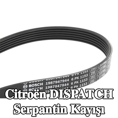BOSCH Serpantin kayışı 1153mm, Number of ribs: 6 — Citroën Dispatch