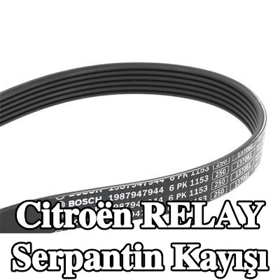 BOSCH Serpantin kayışı 1153mm, Number of ribs: 6 — 2002 Citroën Relay