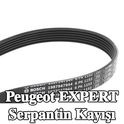 BOSCH Serpantin kayışı 1153mm, Number of ribs: 6 — Peugeot Expert