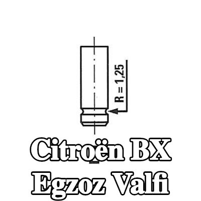 FRECCIA Egzoz valfi Krom kaplı valf gövdesi — Citroën Bx