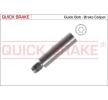 QUICK BRAKE Fren kaliperi cıvatası — Renault Fluence (5)