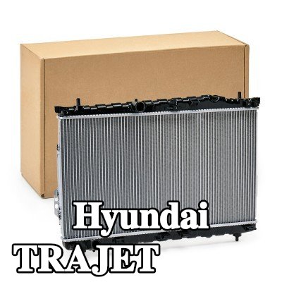 RIDEX مبرد المحرك — 2000 Hyundai Trajet