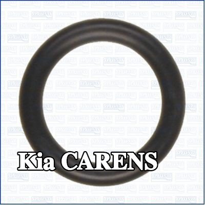 AJUSA حشية مانعة للتسرب، أنبوب سائل التبريد — Kia Carens