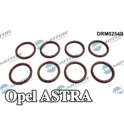 DR.MOTOR AUTOMOTIVE مجموعة حلقات مانعة للتسرب، حاقن — 2002 Opel Astra