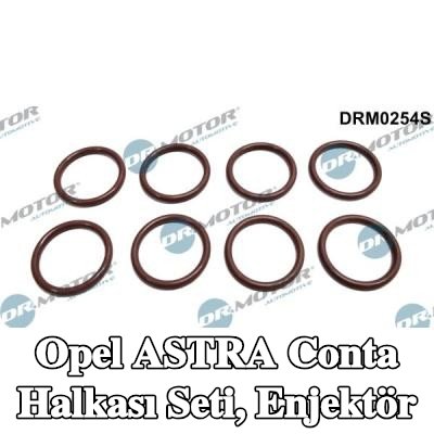 DR.MOTOR AUTOMOTIVE Conta Halkası Seti, enjektör — 2002 Opel Astra