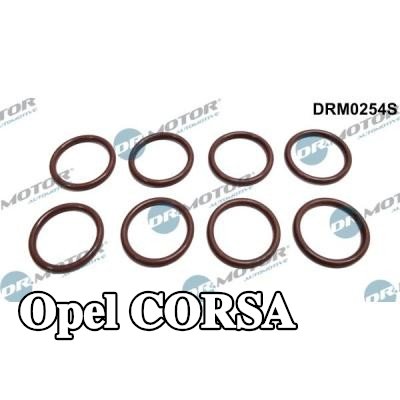 DR.MOTOR AUTOMOTIVE مجموعة حلقات مانعة للتسرب، حاقن — 2002 Opel Corsa
