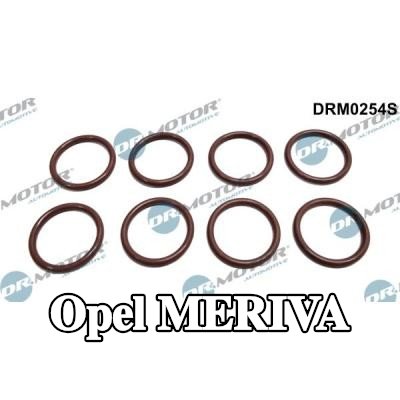 DR.MOTOR AUTOMOTIVE مجموعة حلقات مانعة للتسرب، حاقن — 2003 Opel Meriva