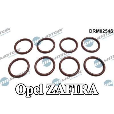 DR.MOTOR AUTOMOTIVE مجموعة حلقات مانعة للتسرب، حاقن — 2010 Opel Zafira
