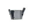 MAHLE Intercooler — Renault Wind (4)