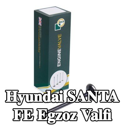 BGA Egzoz valfi — 2002 Hyundai Santa Fe