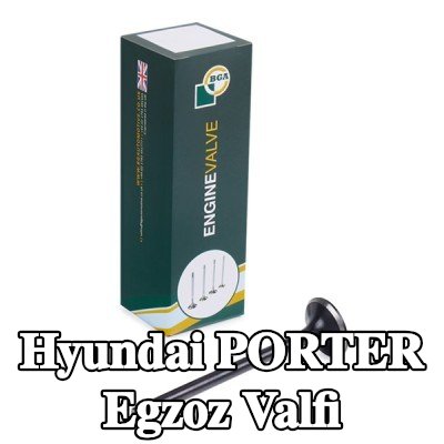 BGA Egzoz valfi — Hyundai Porter