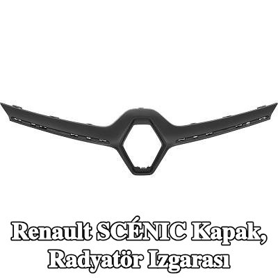 DIEDERICHS Kapak, radyatör ızgarası — Renault Scénic