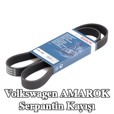 BOSCH Serpantin kayışı 1185mm, Number of ribs: 6 — 2012 Volkswagen Amarok