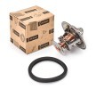 DENSO Termostat 82°C, conta/sızdırmazlık elemanları ile — Nissan Terrano (1)