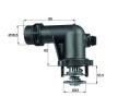 MAHLE Termostat 105°C, contalı/sızdırmaz — BMW Z3 (7)