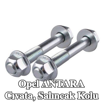 TEDGUM Cıvata, salıncak kolu — Opel Antara