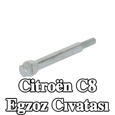 WALKER Egzoz cıvatası — Citroën C8