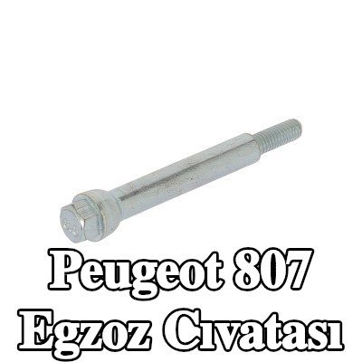 WALKER Egzoz cıvatası — Peugeot 807