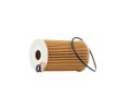 RIDEX Filtre kiti — Kia Carens (3)