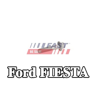 FAST برغي مشبك الحاقن — 2000 Ford Fiesta