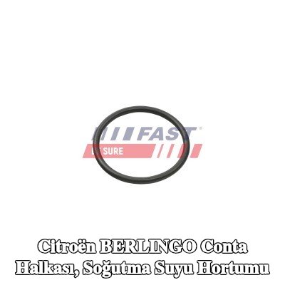 FAST Conta halkası, soğutma suyu hortumu — Citroën Berlingo