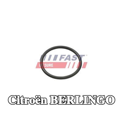 FAST حلقة مانعة للتسرب، خرطوم سائل التبريد — Citroën Berlingo
